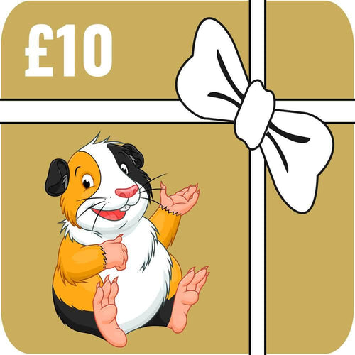 £10 Cage Creations Gift Card - Cage Creations